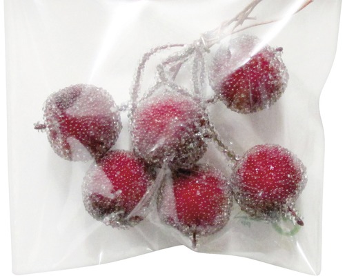 Dekorative rote Beeren im transparenten Beutel