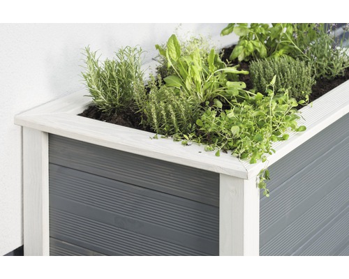 Hochbeet aus Holz mit Kräutern bepflanzt