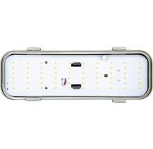 LED (Feuchtraum-)Ovalleuchte Midi weiß/grau 12 W 1300 lm IP 65 4000 K kaltweiß-thumb-1 LED (Feuchtraum-)Ovalleuchte Midi weiß/grau 12 W 1300 lm IP 65 4000 K kaltweiß-thumb-1