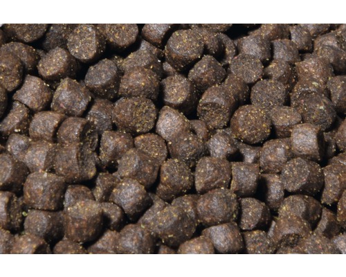 Nahaufnahme von Fischfutterpellets