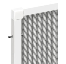 Detailansicht eines Insektenschutzgitters mit Rahmen