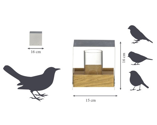 Vogelhaus mit Abmessungen 15 x 16 x 16 cm, aus Holz und Glas