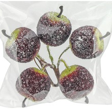 Dekorative Äpfel am Zweig im transparenten Beutel