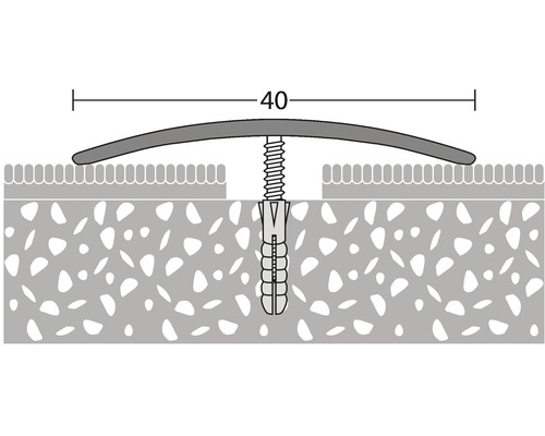 Darstellung eines Übergangsprofils mit Dübel und Schraube zur Befestigung, Länge 40.