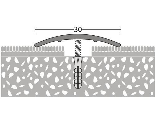 Illustration eines 30 Millimeter breiten Übergangsprofils mit Schraube und Dübel