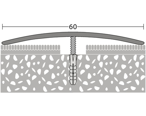 Darstellung eines Profils mit Schraube und Dübel zur Bodenbefestigung mit einer Länge von 60 Millimeter.