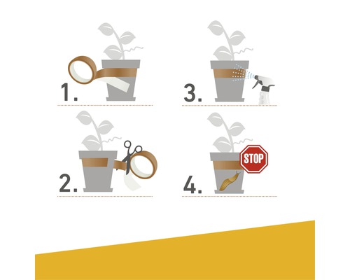 Illustration zur Schneckenabwehr an Pflanzen in Töpfen mit Kupferband, Sprühlösung und einem Stoppschild.