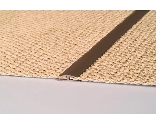 Profilschiene zur Verbindung von Bodenbelägen