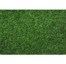 Kunstrasen Wembley mit Drainage moosgrün 400 cm