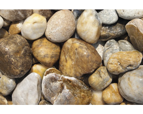 Dekorative Kieselsteine für den Garten