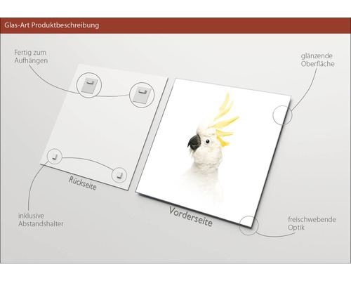 Glasbild mit Papagei, Rückseite mit Aufhängern und Abstandshaltern