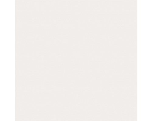 Heller einfarbiger Hintergrund.