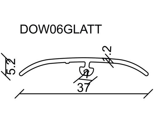 Technische Zeichnung eines DOW06GLATT Profils mit Maßangaben