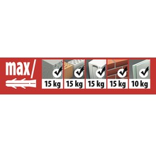 Informationen zur maximalen Traglast des Dübels in verschiedenen Baustoffen.