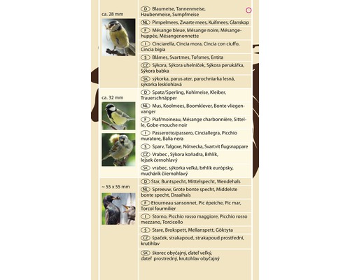 Abbildung verschiedener Vogelarten zur Identifizierung