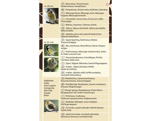 Abbildung verschiedener Vogelarten zur Bestimmung