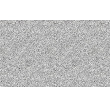 Handmuster zu FLAIRSTONE Granit Terrassenplatte Iceland white grau Handmuster zu FLAIRSTONE Granit Terrassenplatte Iceland white grau