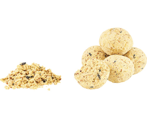 Vogelfutter als loser Haufen und als Meisenknödel
