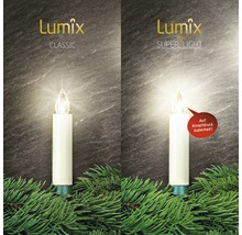Lumix Classic und Super Light LED Kerzen mit Tannenzweigen
