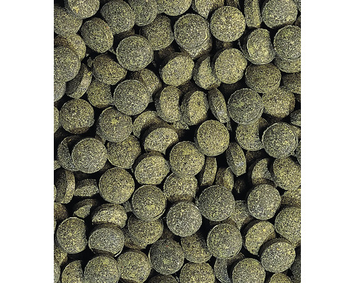 Viele grüne Futtertabletten für Aquarienfische