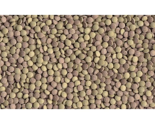 Viele Fischfuttertabletten