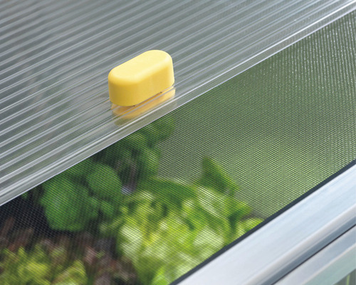 Detailansicht eines Gewächshausfensters mit Insektenschutzgitter und Fensteröffner