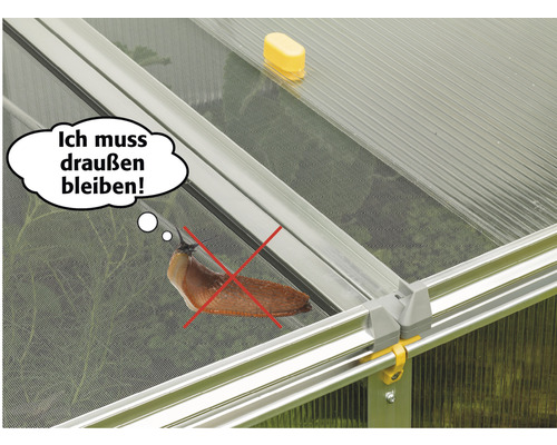Nahaufnahme eines Gewächshauses mit einer durchgestrichenen Schnecke und der Sprechblase Ich muss draußen bleiben!