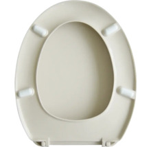 Toilettendeckel aus Kunststoff