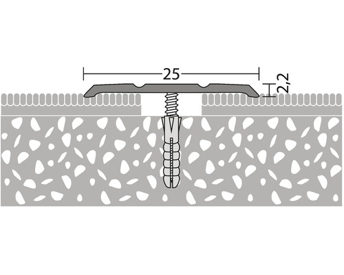 Illustration eines Übergangsprofils mit Schraube und Dübel zur Verbindung zweier Bodenbeläge unterschiedlicher Höhe