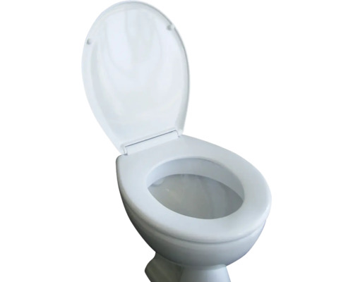 Toilette mit offenem Toilettendeckel
