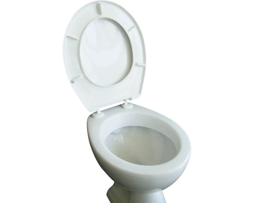 Toilettenschüssel mit geöffnetem Deckel