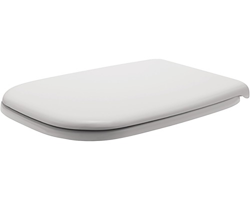 Toilettendeckel aus Kunststoff