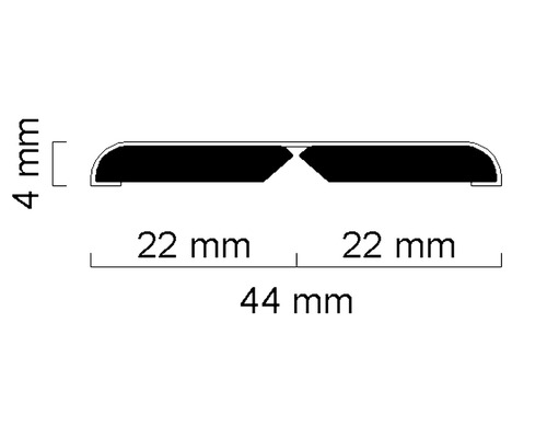 Profilschnitt mit den Maßen 44 mm Breite und 4 mm Höhe