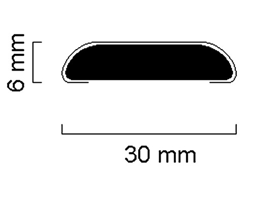 Skizze eines Profils mit den Maßen 30 mm mal 6 mm