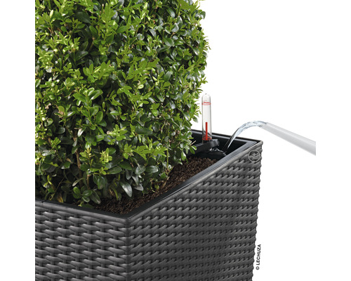 Bewässerung eines Pflanzgefäßes mit Wasserstandsanzeiger