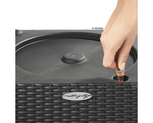 Eine Person steckt eine Münze in einen Blumentopf von Lechuza.