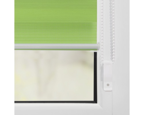 Grüne Doppelrollo am Fenster zur Lichtregulierung