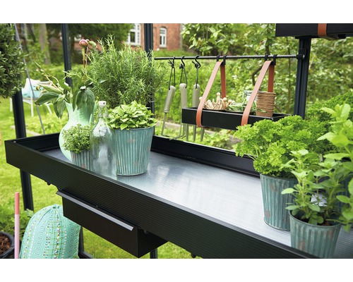 Gartentisch mit Pflanzen, Kräutern und Gartengeräten in einem Gewächshaus