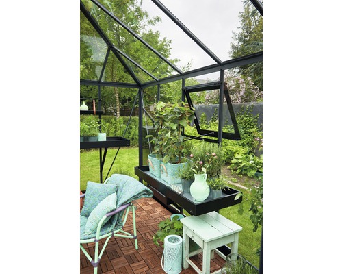 Gewächshaus mit Pflanzen, Sessel und Regalen im Garten.