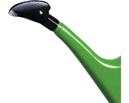 Gießkopf einer grünen Gießkanne