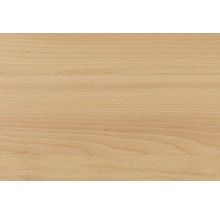 Holzstruktur Buche