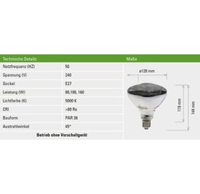 Abbildung einer PAR38 Lampe mit E27 Sockel und technischen Details wie Netzfrequenz, Spannung, Leistung, Lichtfarbe und Bauform.