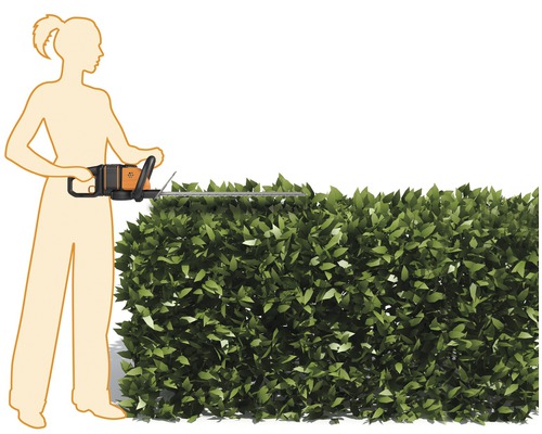 Eine Frau schneidet eine Hecke mit einer Heckenschere.