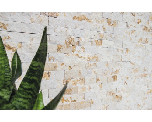 Wandverkleidung aus Naturstein mit Pflanzen im Vordergrund