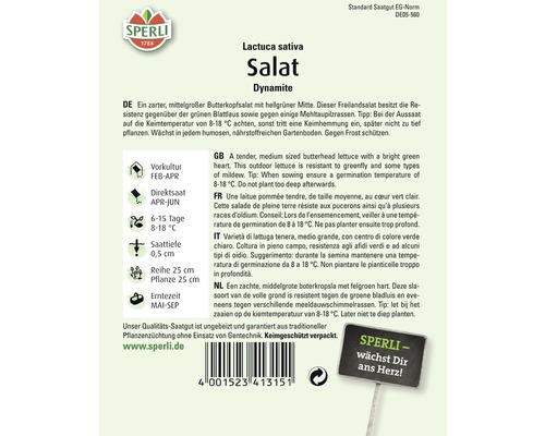 Samenpackung Dynamite Salat