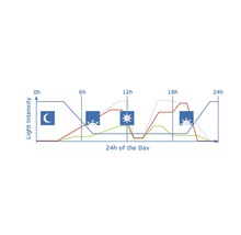 Grafik zur Lichtintensität über 24 Stunden