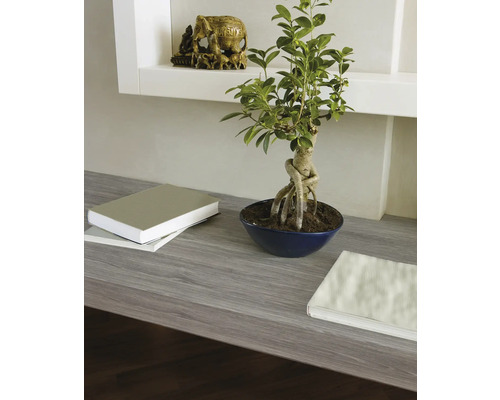 Szene mit einem Bonsai-Baum in einer Schale, Büchern und einer Elefantenfigur auf einem Regal