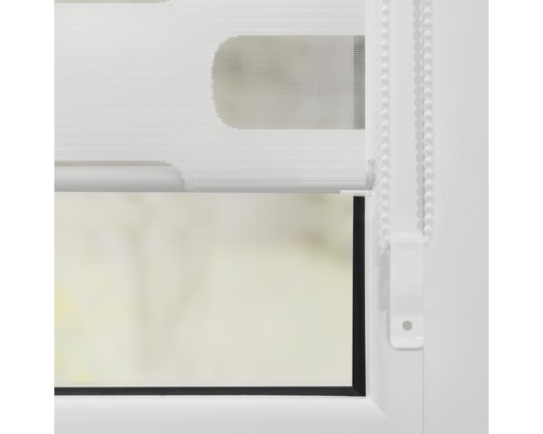 Fenster mit Rollo zur Lichtregulierung