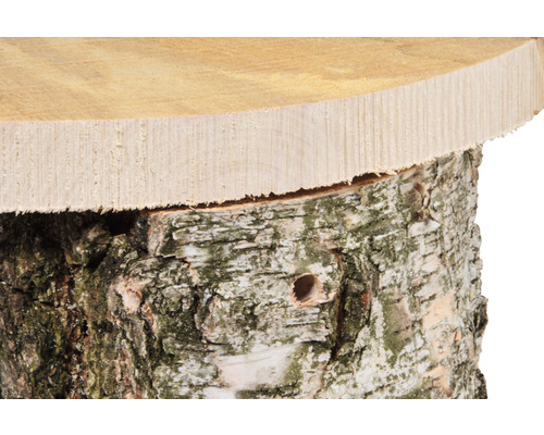 Nahaufnahme eines Baumstumpfes aus Holz