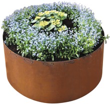 Blumenbeet mit Stahlumrandung und blühenden Pflanzen